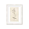 Picture of Flower Sketch II _GroupedProduct_Rectangle_Portrait_Framed_Matted_