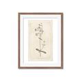 Picture of Flower Sketch II _GroupedProduct_Rectangle_Portrait_Framed_Matted_