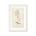 Picture of Flower Sketch II _GroupedProduct_Rectangle_Portrait_Framed_Matted_