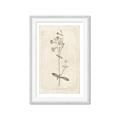 Picture of Flower Sketch II _GroupedProduct_Rectangle_Portrait_Framed_Matted_