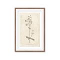 Picture of Flower Sketch II _GroupedProduct_Rectangle_Portrait_Framed_Matted_