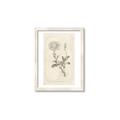 Picture of Flower Sketch III _GroupedProduct_Rectangle_Portrait_Framed_Matted_