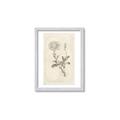Picture of Flower Sketch III _GroupedProduct_Rectangle_Portrait_Framed_Matted_