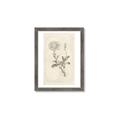 Picture of Flower Sketch III _GroupedProduct_Rectangle_Portrait_Framed_Matted_