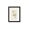 Picture of Flower Sketch III _GroupedProduct_Rectangle_Portrait_Framed_Matted_