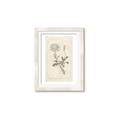 Picture of Flower Sketch III _GroupedProduct_Rectangle_Portrait_Framed_Matted_