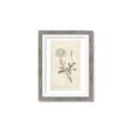 Picture of Flower Sketch III _GroupedProduct_Rectangle_Portrait_Framed_Matted_