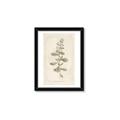Picture of Flower Sketch IV _GroupedProduct_Rectangle_Portrait_Framed_Matted_