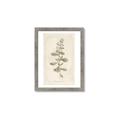 Picture of Flower Sketch IV _GroupedProduct_Rectangle_Portrait_Framed_Matted_