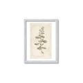 Picture of Flower Sketch IV _GroupedProduct_Rectangle_Portrait_Framed_Matted_