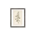Picture of Flower Sketch IV _GroupedProduct_Rectangle_Portrait_Framed_Matted_