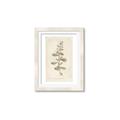 Picture of Flower Sketch IV _GroupedProduct_Rectangle_Portrait_Framed_Matted_