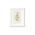Picture of Flower Sketch IV _GroupedProduct_Rectangle_Portrait_Framed_Matted_