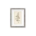 Picture of Flower Sketch IV _GroupedProduct_Rectangle_Portrait_Framed_Matted_
