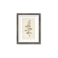 Picture of Flower Sketch IV _GroupedProduct_Rectangle_Portrait_Framed_Matted_