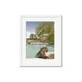 Picture of Gepard in water _GroupedProduct_Rectangle_Portrait_Framed_Matted_