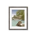 Picture of Gepard in water _GroupedProduct_Rectangle_Portrait_Framed_Matted_