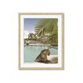 Picture of Gepard in water _GroupedProduct_Rectangle_Portrait_Framed_Matted_