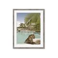 Picture of Gepard in water _GroupedProduct_Rectangle_Portrait_Framed_Matted_