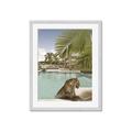 Picture of Gepard in water _GroupedProduct_Rectangle_Portrait_Framed_Matted_