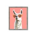 Picture of Llamarama  with glass _GroupedProduct_Rectangle_Portrait_Framed_Matted_