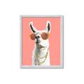 Picture of Llamarama  with glass _GroupedProduct_Rectangle_Portrait_Framed_Matted_