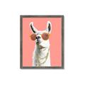 Picture of Llamarama  with glass _GroupedProduct_Rectangle_Portrait_Framed_Matted_