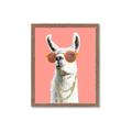 Picture of Llamarama  with glass _GroupedProduct_Rectangle_Portrait_Framed_Matted_