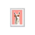 Picture of Llamarama  with glass _GroupedProduct_Rectangle_Portrait_Framed_Matted_