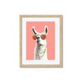 Picture of Llamarama  with glass _GroupedProduct_Rectangle_Portrait_Framed_Matted_