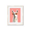 Picture of Llamarama  with glass _GroupedProduct_Rectangle_Portrait_Framed_Matted_