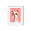 Picture of Llamarama  with glass _GroupedProduct_Rectangle_Portrait_Framed_Matted_