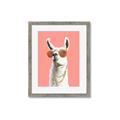 Picture of Llamarama  with glass _GroupedProduct_Rectangle_Portrait_Framed_Matted_