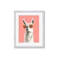 Picture of Llamarama  with glass _GroupedProduct_Rectangle_Portrait_Framed_Matted_