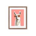 Picture of Llamarama  with glass _GroupedProduct_Rectangle_Portrait_Framed_Matted_