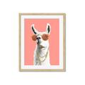 Picture of Llamarama  with glass _GroupedProduct_Rectangle_Portrait_Framed_Matted_