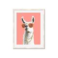 Picture of Llamarama  with glass _GroupedProduct_Rectangle_Portrait_Framed_Matted_