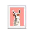 Picture of Llamarama  with glass _GroupedProduct_Rectangle_Portrait_Framed_Matted_