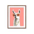 Picture of Llamarama  with glass _GroupedProduct_Rectangle_Portrait_Framed_Matted_
