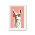 Picture of Llamarama  with glass _GroupedProduct_Rectangle_Portrait_Framed_Matted_