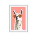 Picture of Llamarama  with glass _GroupedProduct_Rectangle_Portrait_Framed_Matted_