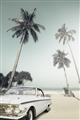 Picture of Palms & Cool Car _GroupedProduct_Rectangle_Portrait_Photography _GroupedProduct_Rectangle_Portrait_Unframed_Print_Only_