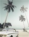 Picture of Palms & Cool Car _GroupedProduct_Rectangle_Portrait_Photography _GroupedProduct_Rectangle_Portrait_Unframed_Print_Only_