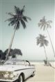 Picture of Palms & Cool Car _GroupedProduct_Rectangle_Portrait_Photography _GroupedProduct_Rectangle_Portrait_Unframed_Print_Only_