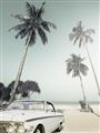 Picture of Palms & Cool Car _GroupedProduct_Rectangle_Portrait_Photography _GroupedProduct_Rectangle_Portrait_Unframed_Print_Only_