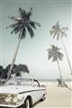 Picture of Palms & Cool Car _GroupedProduct_Rectangle_Portrait_Photography _GroupedProduct_Rectangle_Portrait_Unframed_Print_Only_