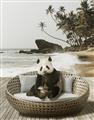 Picture of Panda Sitting on Sofa _GroupedProduct_Rectangle_Portrait_Unframed_Print_Only_