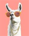 Picture of Llamarama  with glass _GroupedProduct_Rectangle_Portrait_Unframed_Print_Only_