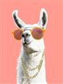 Picture of Llamarama  with glass _GroupedProduct_Rectangle_Portrait_Unframed_Print_Only_