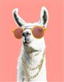Picture of Llamarama  with glass _GroupedProduct_Rectangle_Portrait_Unframed_Print_Only_